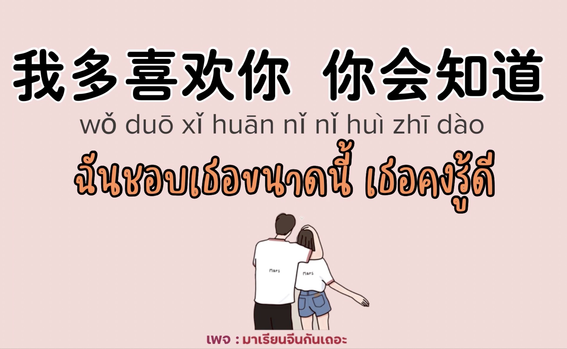 [Pinyin+แปลไทย] 我多喜欢你 你会知道 (Wǒ duō xǐhuān nǐ. Nǐ huì zhīdào.)| แปลเพลงจีน BY ฟ้าเหล่าซือ