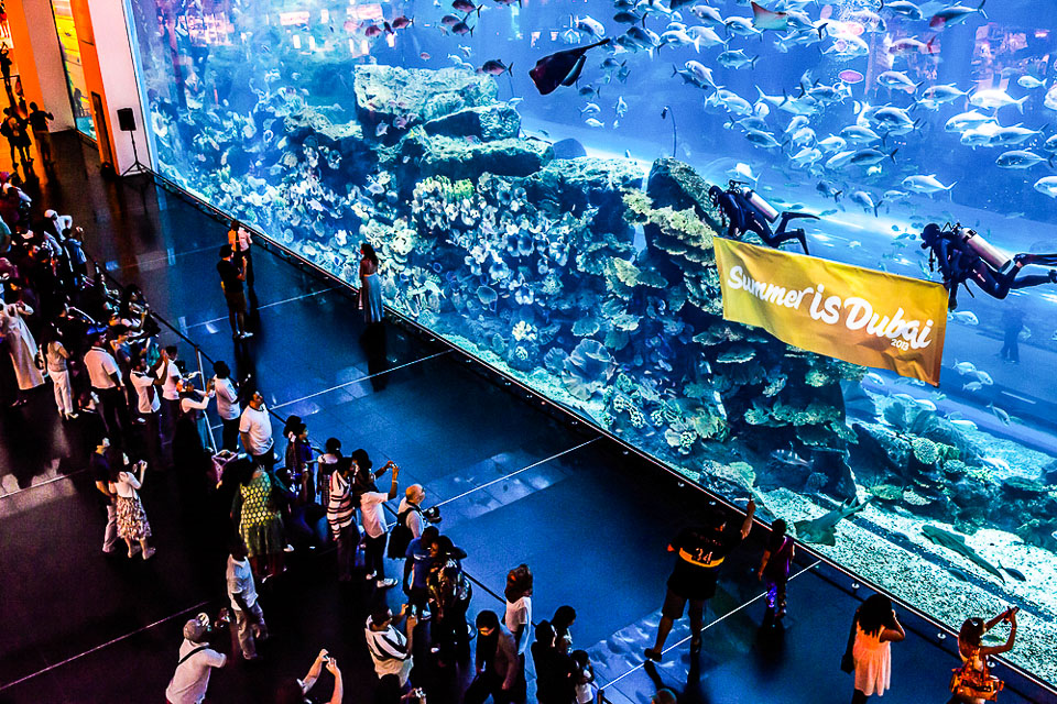 พิพิธภัณฑ์สัตว์น้ำ Dubai Aquarium & Underwater Zoo, ดูไบ สหรัฐอาหรับเอมิเรตส์