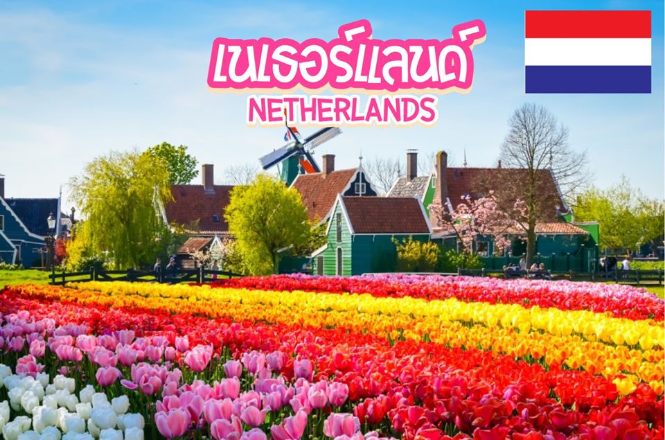 5 สุดยอดเมืองท่องเที่ยวในเนเธอร์แลนด์ Netherlands