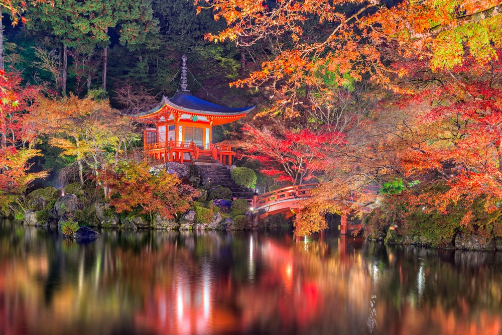 เที่ยวญี่ปุ่นในฤดูใบไม้เปลี่ยนสี Autumn in Japan สีสันคัลเลอร์ฟูล กินปูยักษ์ ดูพลุอลัง