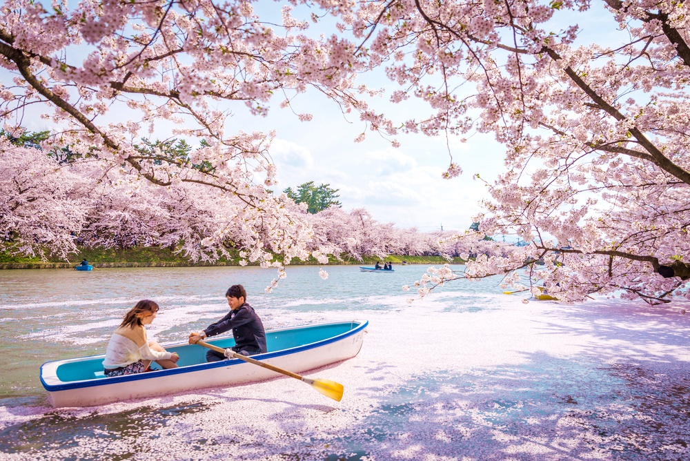 เที่ยวญี่ปุ่นในฤดูใบไม้ผลิ Spring in Japan ชมซากุระบานสะพรั่ง แชะดอกไม้นานาพันธุ์แสนงาม ชิมสตรอเบอร์รีหวานฉ่ำ