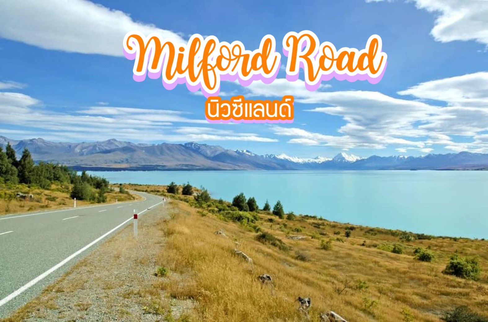 ถนนสายมิลฟอร์ด Milford Road นิวซีแลนด์