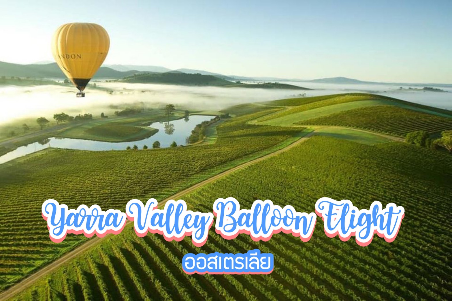 นั่งบอลลูนเหนือไร่ไวน์ Yarra Valley Balloon Flight ออสเตรเลีย