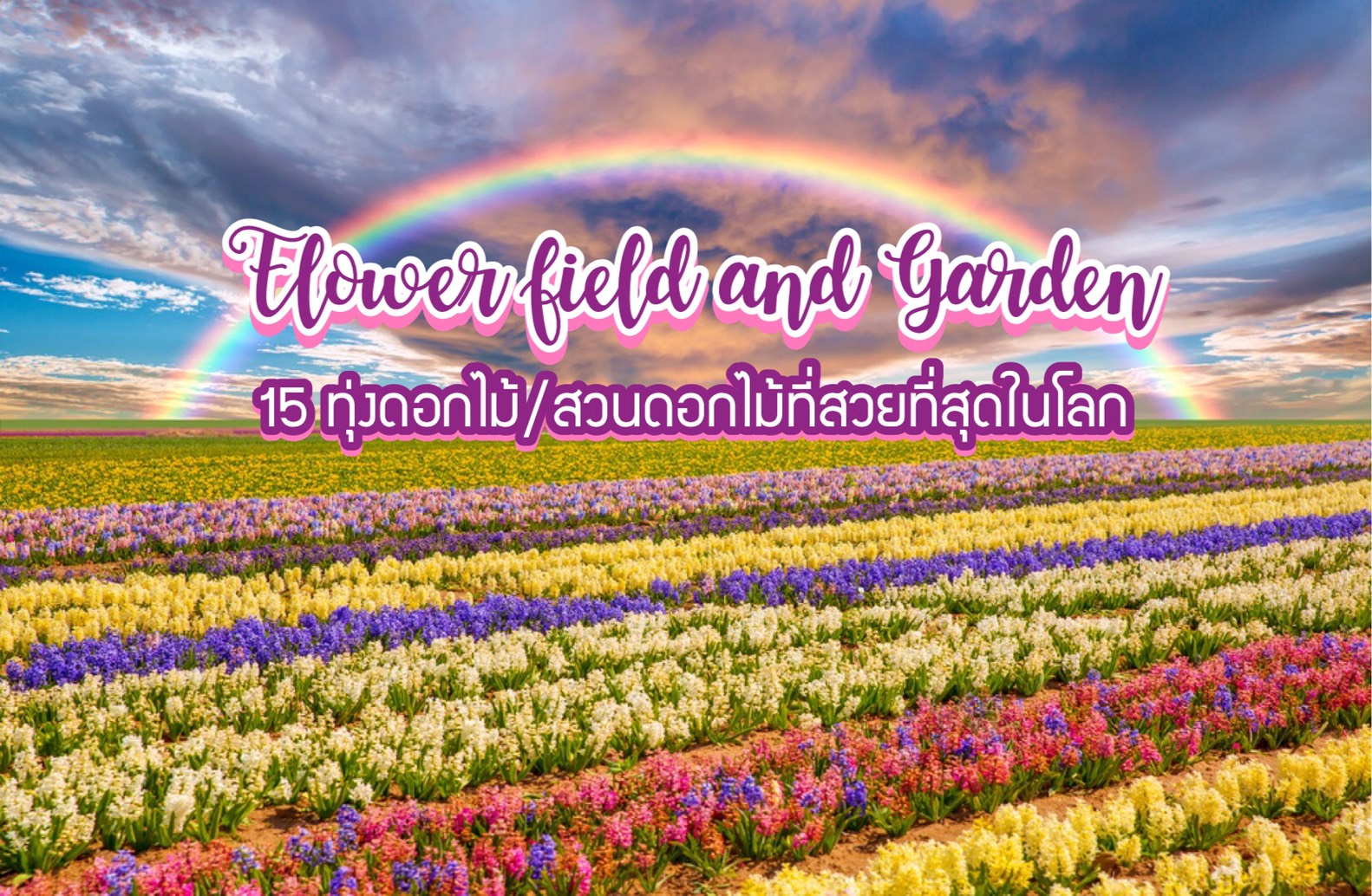 15 ทุ่งดอกไม้ / สวนดอกไม้ ที่สวยที่สุดในโลก โดย หญิงปุ๊ก พาเที่ยว