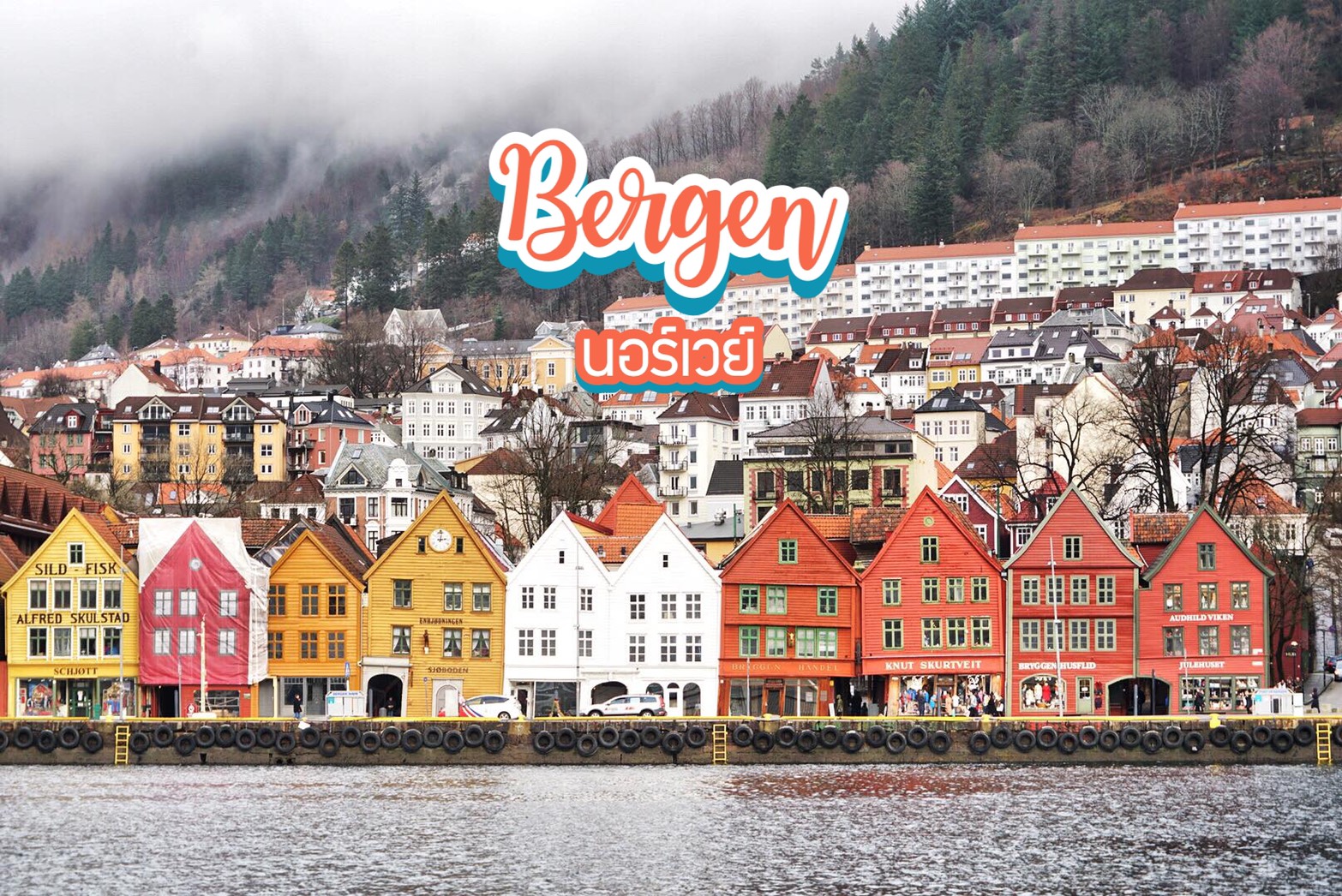 แบร์เกน Bergen นอร์เวย์