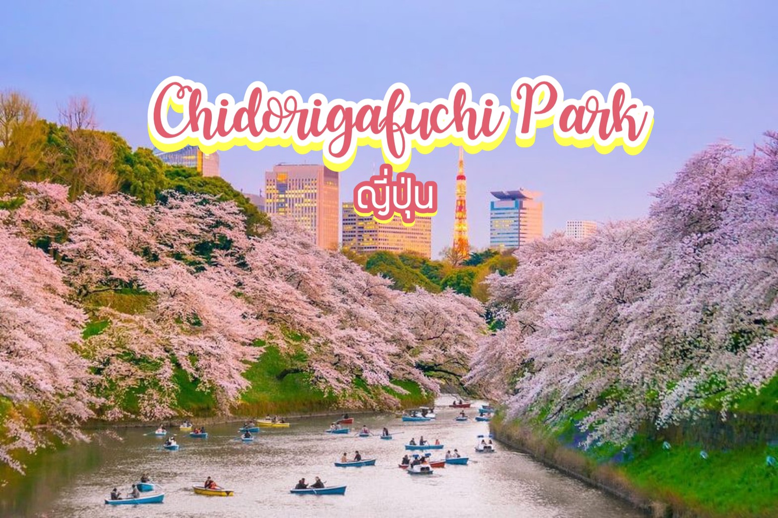 สวนจิโดริ งาฟูจิ Chidorigafuchi Park ญี่ปุ่น