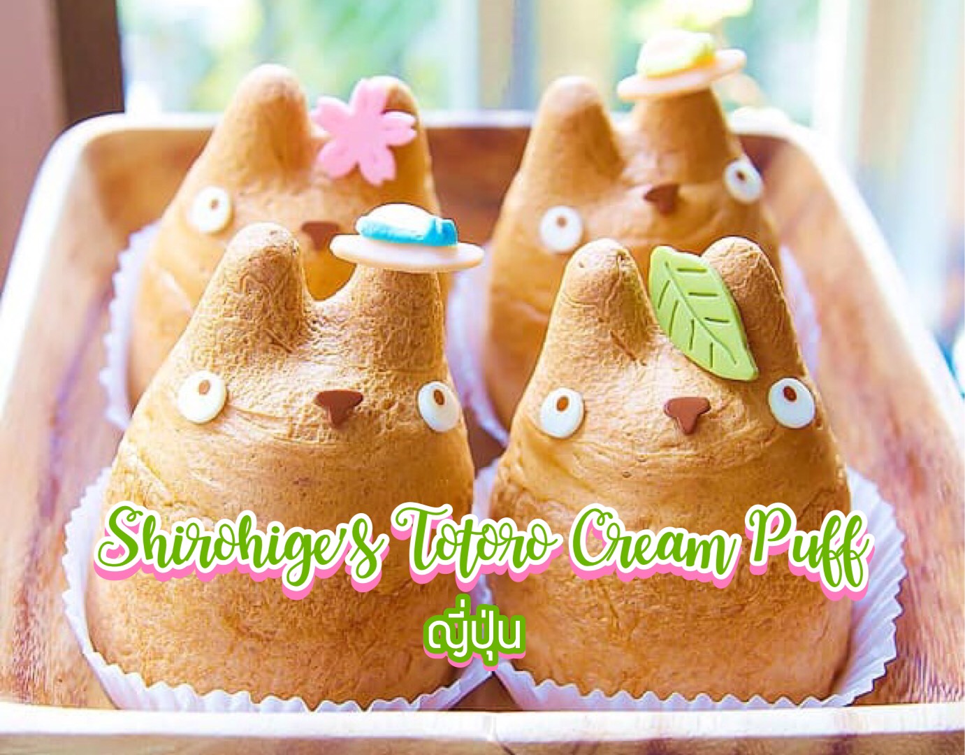 Shirohige’s Totoro Cream Puff ญี่ปุ่น