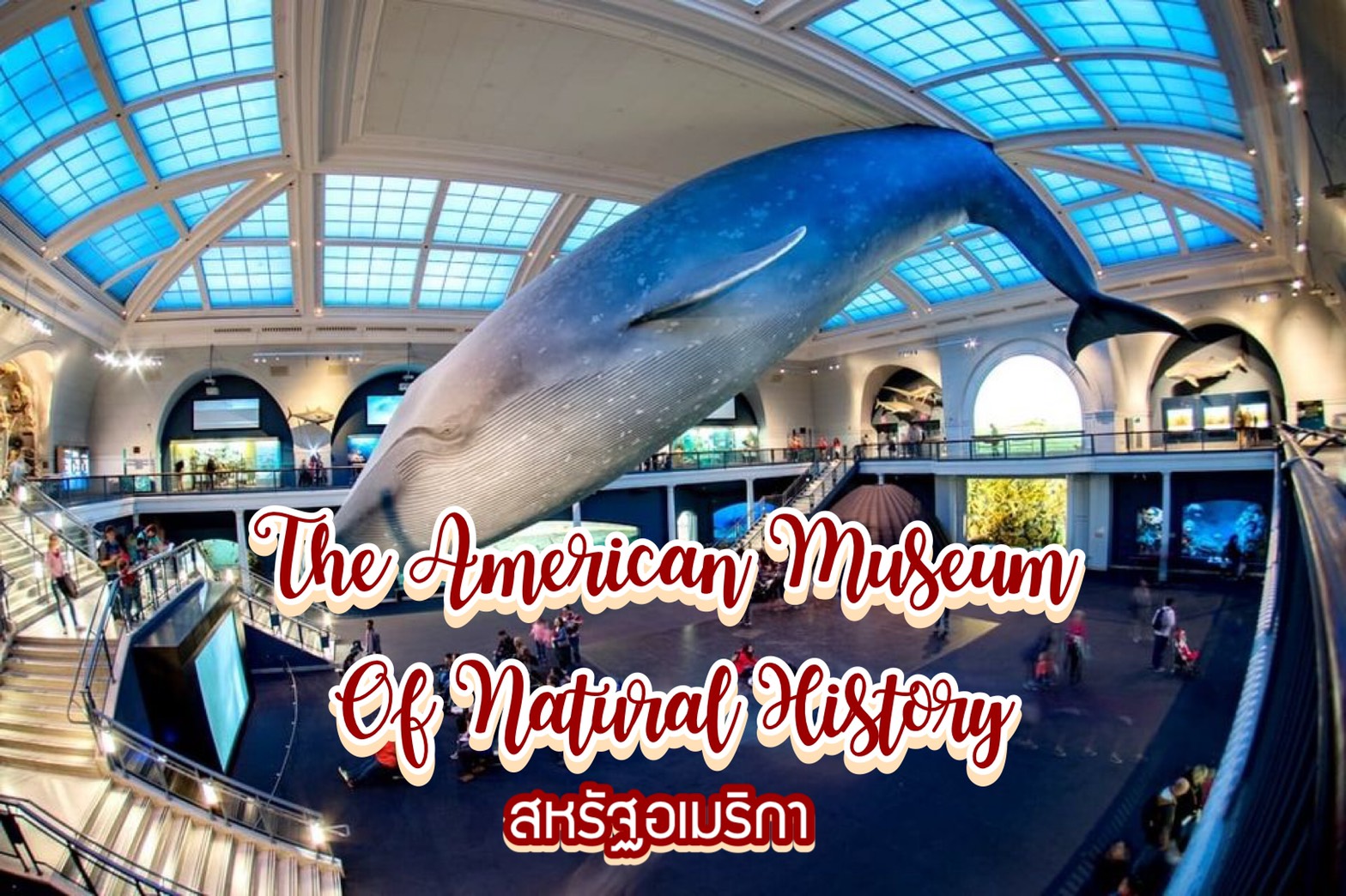 พิพิธภัณฑ์ประวัติศาสตร์ธรรมชาติอเมริกา The American Museum of Natural History สหรัฐอเมริกา