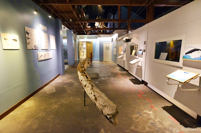 Whaling_Museum_6